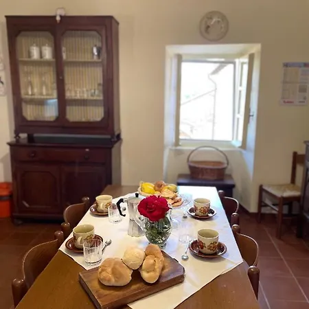 La Pergola House Orbregno Piemonte Holiday home